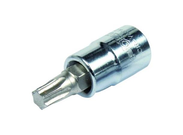 Pipe Torxpipe  3/8" T20 . 