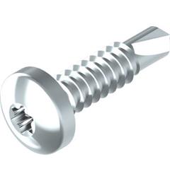 Plateskrue m/Borspiss DIN 7504N T25 4,8 X 19