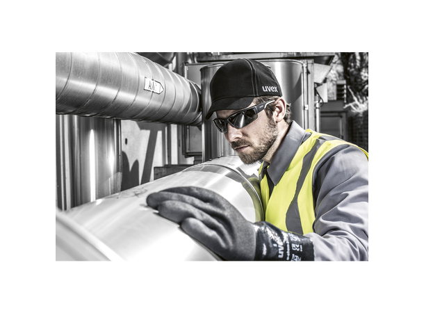 Vernebrille "Polavision" 