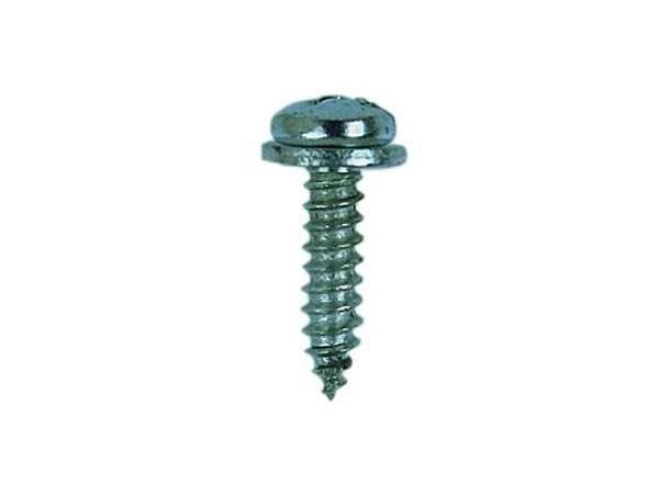 Skiltskrue m/Skive 5,5 x 19 mm 