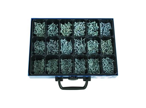 Plateskrue Panhode DIN 7981C 2,9x9,5 - 4,8x25  (1700) 