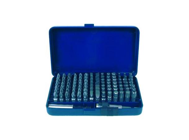Bits Sett 1/4" 100 Deler . 